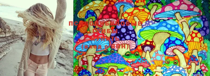 где купить   Беслан  Псилоцибиновые грибы MAGIC MUSHROOMS 